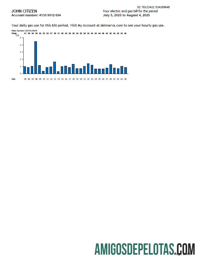 em branco Modelo de conta de serviços públicos de energia Delmarva dos EUA em formatos Word e PDF, 5 páginas, 5ª página